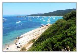 Porquerolles cet été juillet 2013!!